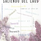 SALIENDO DEL CAOS