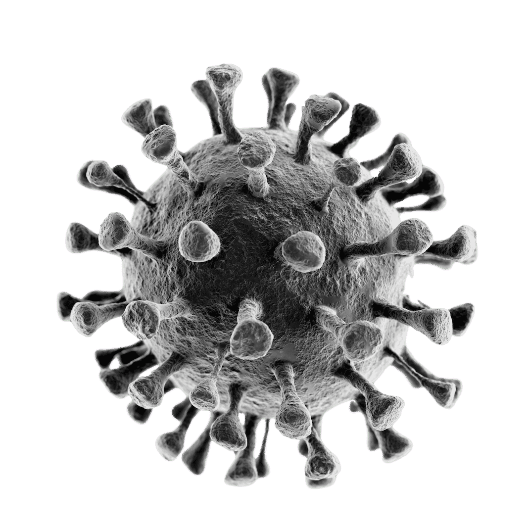 coronavirus-silueta
